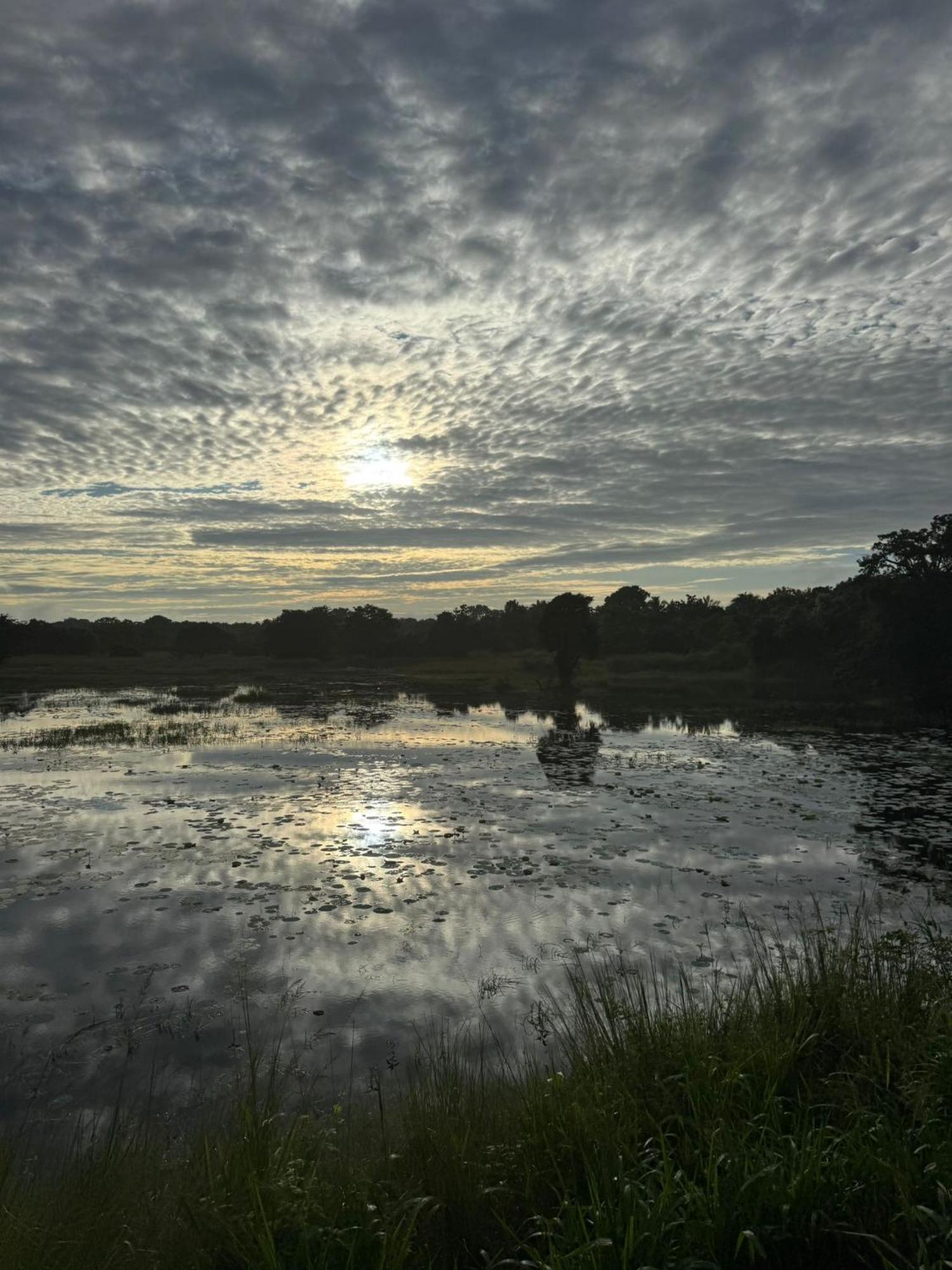 Lake Wind Habarana Bagian luar foto