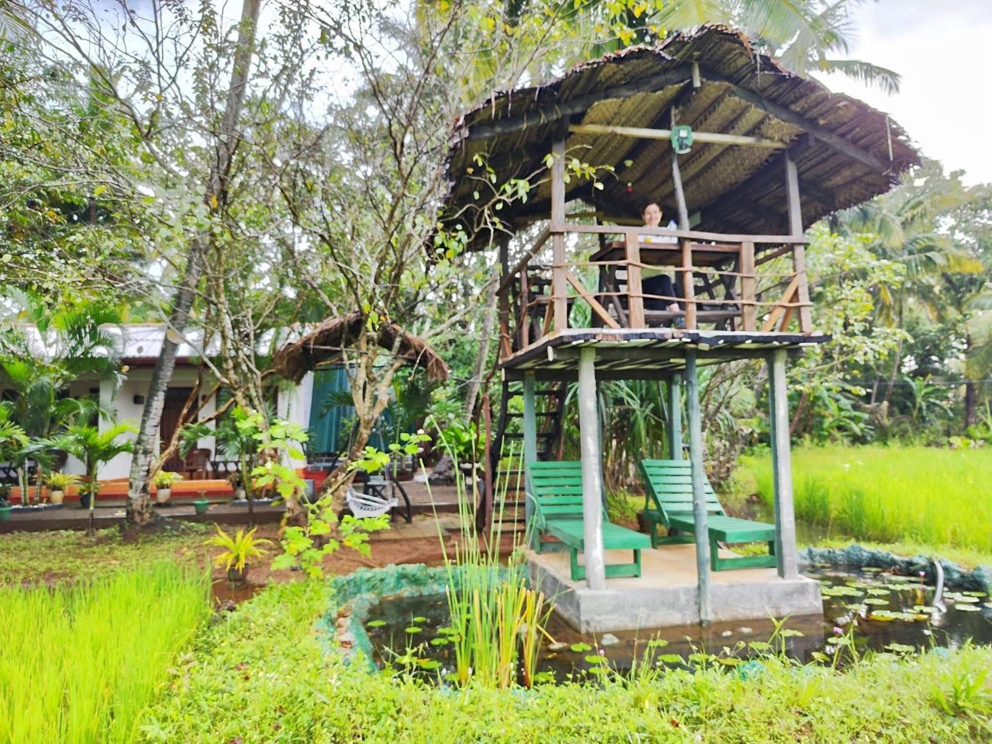 Lake Wind Habarana Bagian luar foto