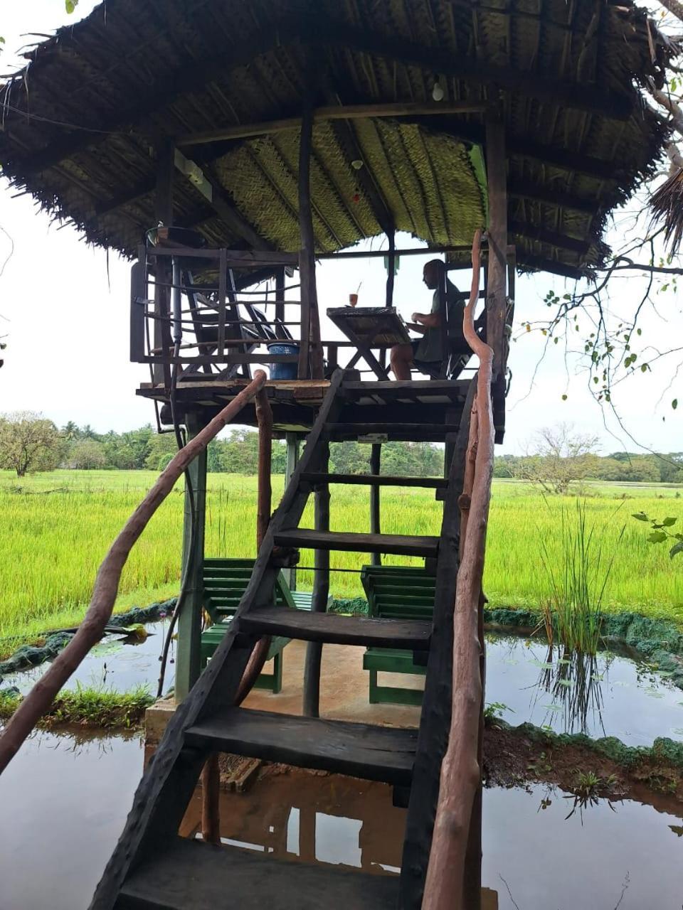 Lake Wind Habarana Bagian luar foto